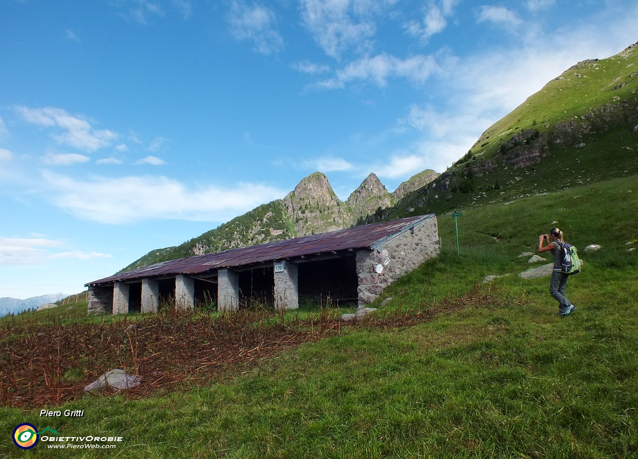 22 Pensana di Baita Monte Campo co i Tre Pizzi sullo sfondo.JPG